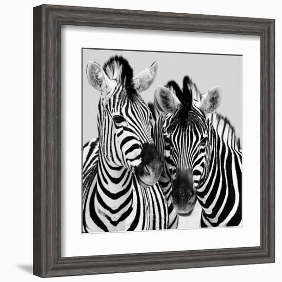 Namibia Zebras-Nina Papiorek-Framed Giclee Print