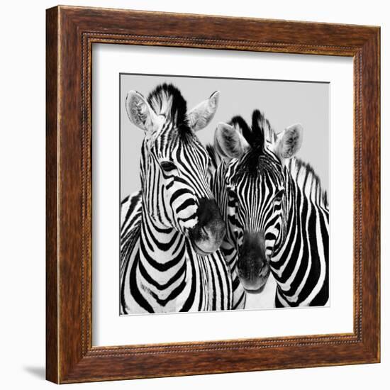 Namibia Zebras-Nina Papiorek-Framed Giclee Print