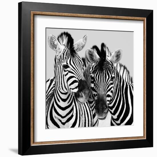 Namibia Zebras-Nina Papiorek-Framed Giclee Print