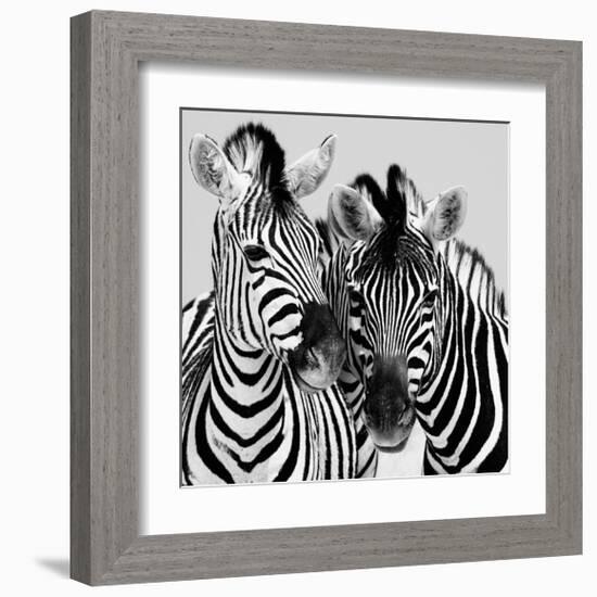 Namibia Zebras-Nina Papiorek-Framed Giclee Print