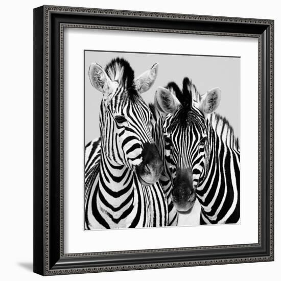 Namibia Zebras-Nina Papiorek-Framed Giclee Print