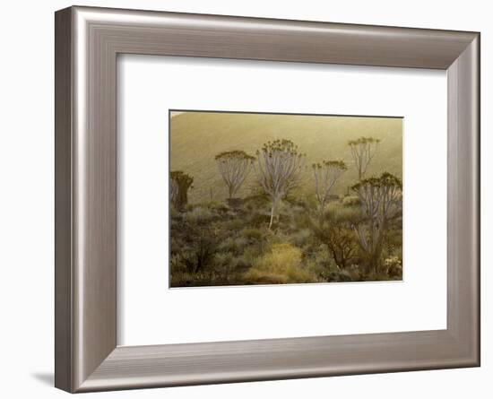 Namibia-Art Wolfe-Framed Photographic Print