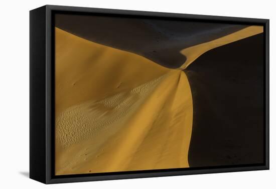 Namibia-Art Wolfe-Framed Premier Image Canvas