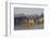 Nampan Village, Inle Lake, Shan State, Myanmar (Burma), Asia-Tuul-Framed Photographic Print