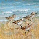 Sandpipers I-null-Art Print