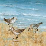 Sandpipers I-null-Art Print