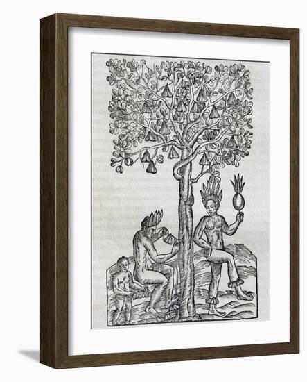 Nana Fruit, Tropical Medicinal Plant, Engraving from Universal Cosmology-Andre Thevet-Framed Giclee Print