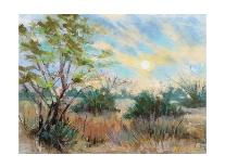 Texas Sunrise-Nancie King Mertz-Art Print
