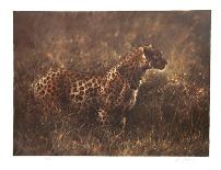 Leopard in the Grass-Nancy Glazier-Limited Edition
