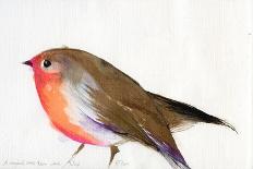 A Magical Little Robin Called Wisp, 2011-Nancy Moniz-Giclee Print