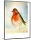 Premium Giclee Print