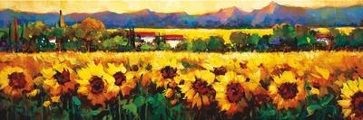 Sweeping Fields of Sunflowers-Nancy O'toole-Art Print