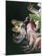 Premium Photographic Print