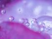Premium Photographic Print
