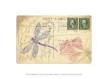 Postcard Dragonfly I-Nancy Shumaker Pallan-Mounted Art Print