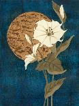 Kimono I-Nancy Slocum-Art Print