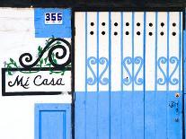 Detail of Siamese Cat in Doorway with Wrought Iron Cover, Puerto Vallarta, Mexico-Nancy & Steve Ross-Photographic Print