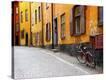 Stretched Canvas Print