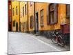 Premium Photographic Print