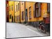 Photographic Print