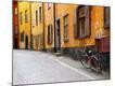 Photographic Print
