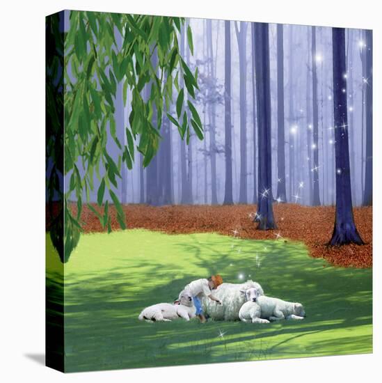 Stretched Canvas Print, , large