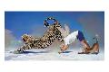 Premium Giclee Print