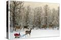 Stretched Canvas Print