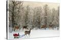 Stretched Canvas Print