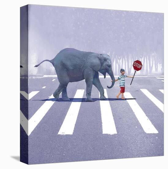 Stretched Canvas Print, , large
