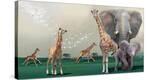 Stretched Canvas Print