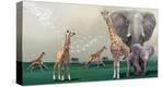 Stretched Canvas Print
