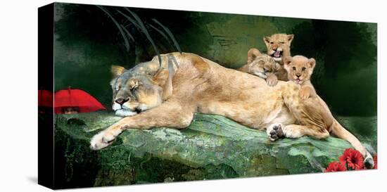 Stretched Canvas Print, , large