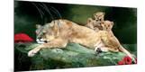Premium Giclee Print