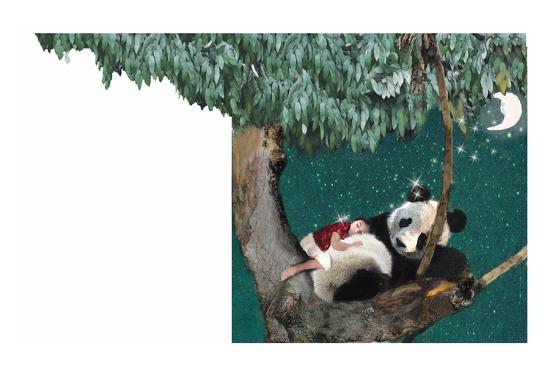 Art Print, , large