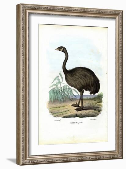 Nandu, 1863-79-Raimundo Petraroja-Framed Giclee Print