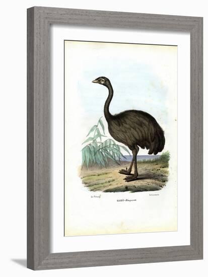 Nandu, 1863-79-Raimundo Petraroja-Framed Giclee Print