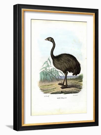 Nandu, 1863-79-Raimundo Petraroja-Framed Giclee Print