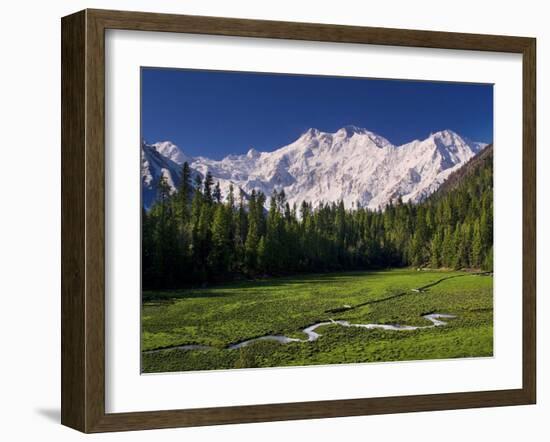 Nanga Parbat, from Fairy Meadows, Diamir District, Pakistan-Michele Falzone-Framed Photographic Print