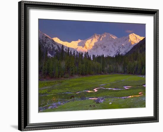 Nanga Parbat, from Fairy Meadows, Diamir District, Pakistan-Michele Falzone-Framed Photographic Print