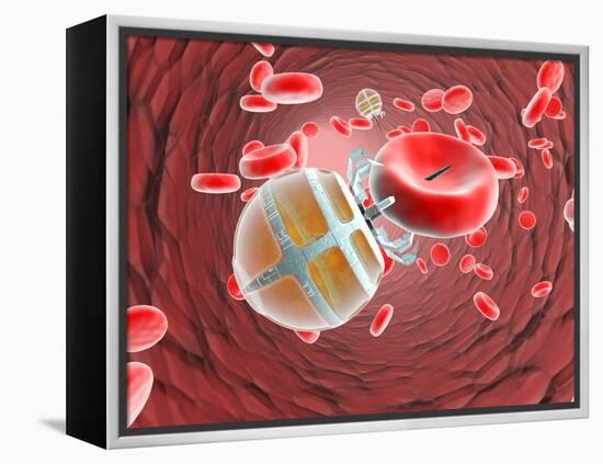 Nanorobot In the Bloodstream-Christian Darkin-Framed Premier Image Canvas