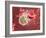 Nanorobot In the Bloodstream-Christian Darkin-Framed Photographic Print