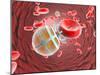 Nanorobot In the Bloodstream-Christian Darkin-Mounted Photographic Print