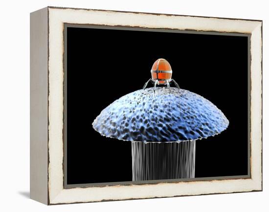 Nanorobot on Pin-Christian Darkin-Framed Premier Image Canvas