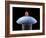 Nanorobot on Pin-Christian Darkin-Framed Photographic Print