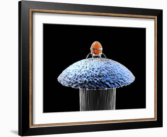 Nanorobot on Pin-Christian Darkin-Framed Photographic Print