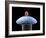 Nanorobot on Pin-Christian Darkin-Framed Photographic Print