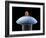 Nanorobot on Pin-Christian Darkin-Framed Photographic Print