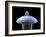 Nanorobot on Pin-Christian Darkin-Framed Photographic Print