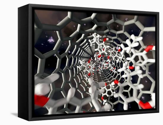 Nanotube Drug Delivery, Artwork-Equinox Graphics-Framed Premier Image Canvas